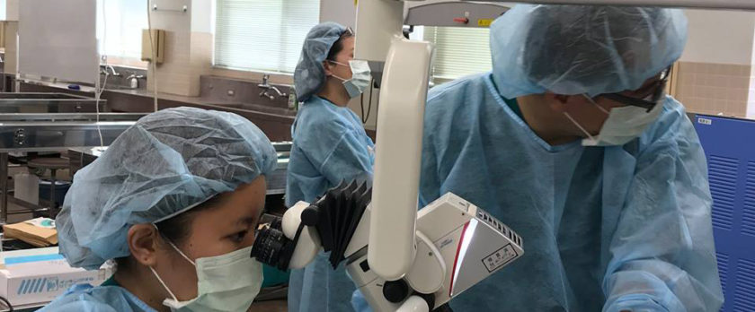 JAHAオンラインセミナー　Dr.Ameetから内視鏡外科手術を学ぶ JAHAオンラインセミナー Dr.Ameetから内視鏡外科手術を学ぶ